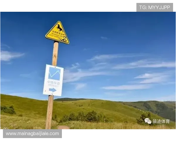 云顶集团官网登录入口马来西亚官方渠道安全可靠指南