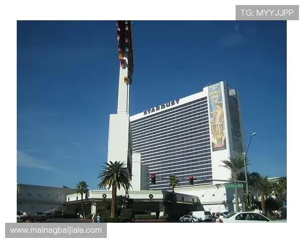 云顶集团有哪些赌场项目，详细介绍每个项目的玩法和优势